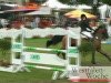 jumper Gap 2 (Oldenburg, 2002, from Gracieux)