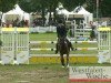 jumper Conally 6 (German Riding Pony, 2005, from Charm of Nibelungen)