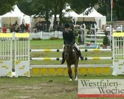 jumper Conally 6 (German Riding Pony, 2005, from Charm of Nibelungen)