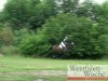 jumper Sam B. (Hanoverian, 2005, from Stakkato)