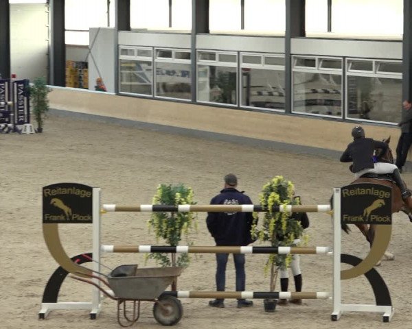 Reitturnier Borken 2022