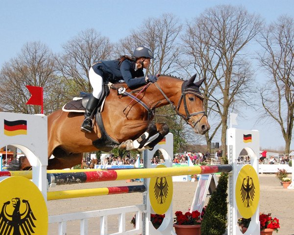 jumper Lupicoeur (KWPN (Royal Dutch Sporthorse), 2003, from Lupicor)