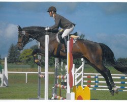 dressage horse Charmeur de Luxe (Oldenburg, 2007, from Carry Gold)