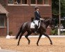 dressage horse Milli Lou (German Sport Horse, 2015, from Fürstenball)