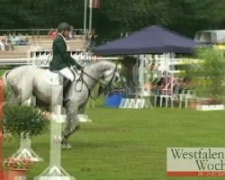 dressage horse Söhnlein Brillant (Westphalian, 2008, from Sir Donnerhall I)