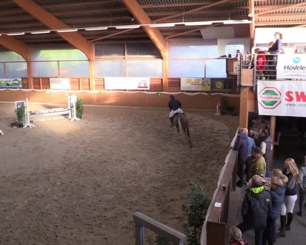 Reitturnier Xanten - Reitanlage Miss 2022
