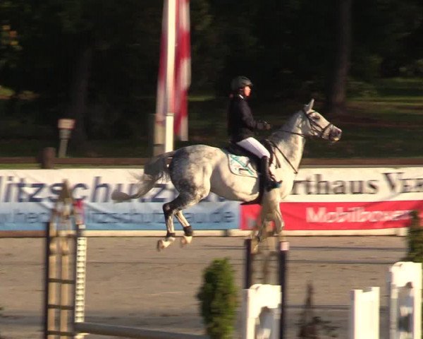 Reitturnier Westergellersen 2022