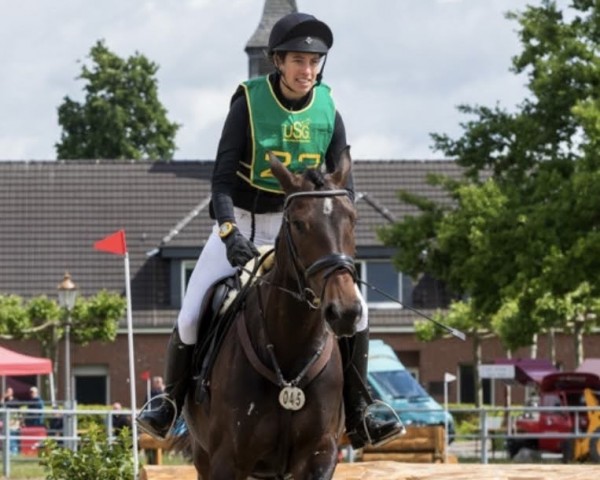 jumper Cassandra Ter Meer (Oldenburg show jumper, 2016, from Casalido)