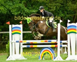 jumper Princess Lady (Polish Warmblood, 2000, from Lirnik AA)