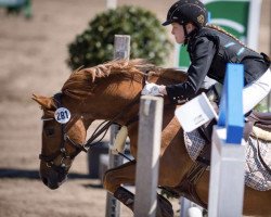 jumper Seven Mountain (German Riding Pony, 1995, from Seven Mountain Natan)