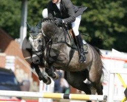 jumper Clark Gable 3 (Hanoverian, 2002, from Calido I)