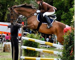 dressage horse Bounty 175 (Holsteiner, 2003, from Betel xx)