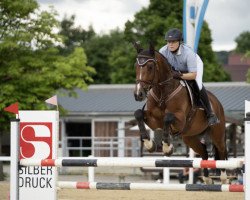 jumper Cleiner Prince (Oldenburg show jumper, 2016, from Casino Grande)