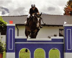 jumper Quantana 4 (Bavarian, 2002, from Quamiro)