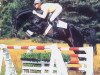 stallion Fabriano (Hanoverian, 1987, from Wendulan)