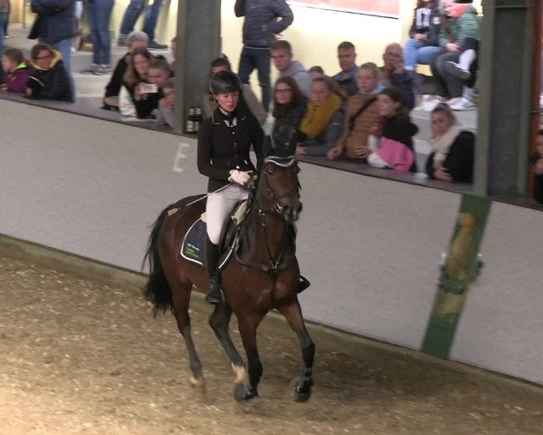 Reitturnier Legden 2022