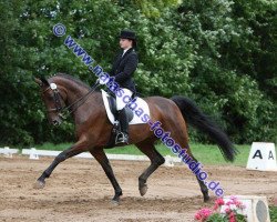 dressage horse Faszzination (Hanoverian, 1997, from Fabriano)