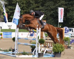 jumper Sam Deluxe (Hanoverian, 2006, from Stolzenberg)