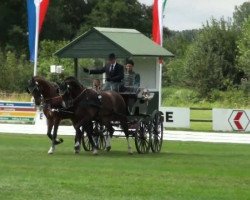 Springpferd Asjemenou (KWPN (Niederländisches Warmblut), 2005, von Patijn)