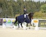 dressage horse Get It (German Riding Pony, 2009, from Gerlof)