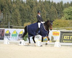 dressage horse Get It (German Riding Pony, 2009, from Gerlof)