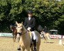 Dressurpferd Da Vinci Gold 4 (Deutsches Reitpony, 2017, von Dreiklang AT)