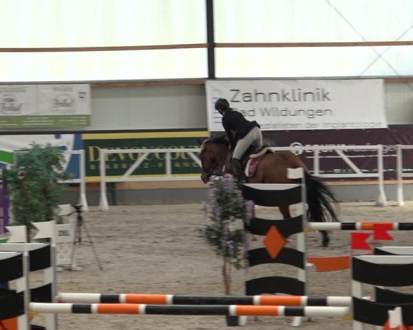 Reitturnier Borken 2022