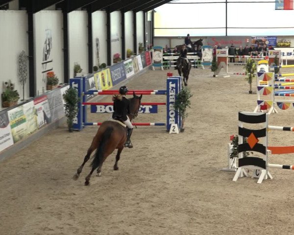 Reitturnier Borken 2022