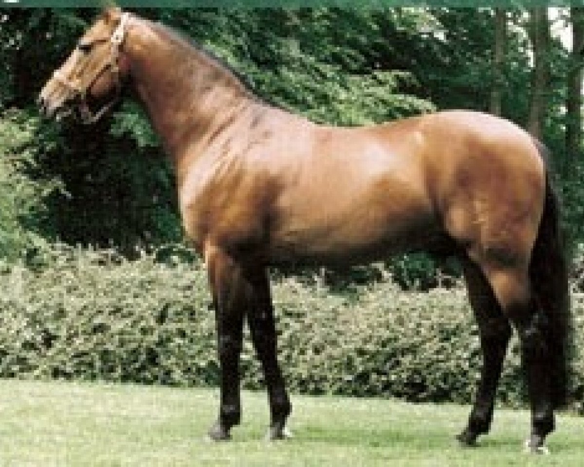 Deckhengst Diamond Way (DE) (Deutscher Traber, 1982, von Super Way (US))
