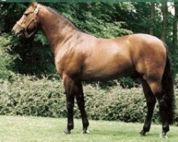 stallion Diamond Way (DE) (German trotters, 1982, from Super Way (US))