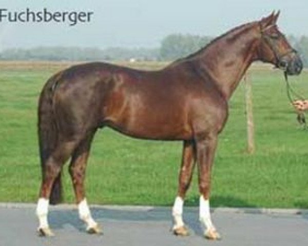 stallion Fuchsberger (Rhinelander, 1999, from Fidermark)