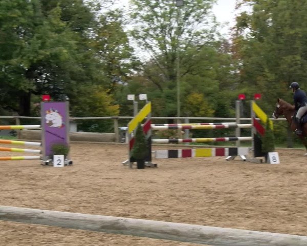 Reitturnier Diessen 2022