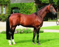 stallion Ehrentanz I (Westphalian, 1990, from Ehrentusch)