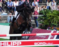 jumper Sauternes ter Vlucht 2 (Belgian Warmblood, 1995, from Gotspe)