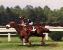 stallion King of Clubs xx (Thoroughbred, 1981, from Mill Reef xx)