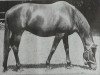 horse Kaiserwürde xx (Thoroughbred, 1945, from Bubbles xx)