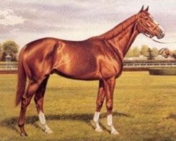 stallion Sword Dancer xx (Thoroughbred, 1956, from Sunglow xx)