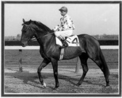 stallion Damascus xx (Thoroughbred, 1964, from Sword Dancer xx)