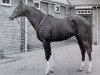 stallion Elopement xx (Thoroughbred, 1951, from Rockefella xx)