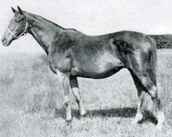 broodmare Scapa Flow xx (Thoroughbred, 1914, from Chaucer xx)