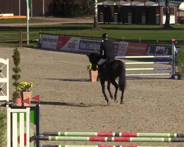 Reitturnier Westergellersen 2022