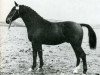 stallion Fanatiker 3219 (Holsteiner, 1940, from Fanal)