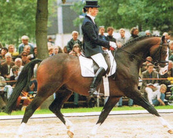 stallion Carpaccio (Holsteiner, 1991, from Caretino)