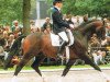 stallion Carpaccio (Holsteiner, 1991, from Caretino)