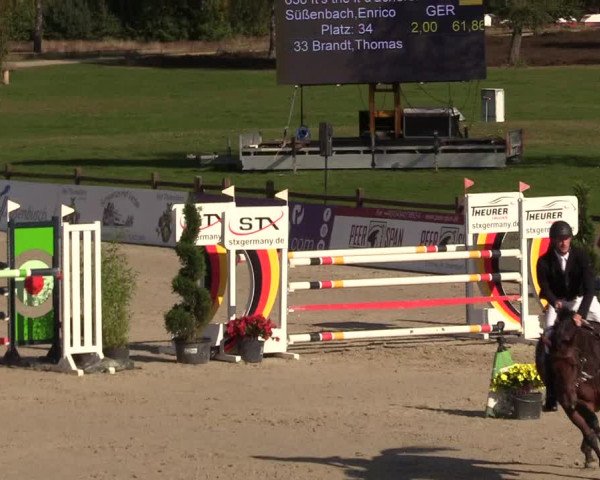 Reitturnier Westergellersen 2022