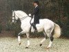 stallion Rivero I (Bavarian, 1992, from Rautenstein)