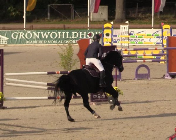 Reitturnier Westergellersen 2022