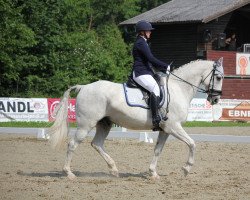 dressage horse Fire Up (KWPN (Royal Dutch Sporthorse), 2010, from Quick Lauro Z)