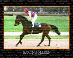 Pferd Baron Zollern xx (Englisches Vollblut, 1995, von Dictator's Song xx)