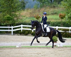 dressage horse Estella 97 (Bavarian, 2013, from Esperico)